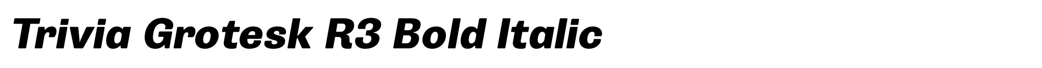 Trivia Grotesk R3 Bold Italic image